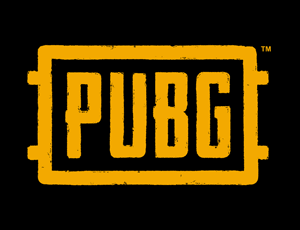 PUBG Custom Gaming PCs